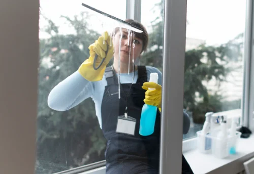 Nettoyage de vitres intérieures et extérieures à Panjas